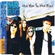 Mr. Big - Goin' Where The Wind Blows