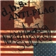 d.b.s. / Anti-Flag - North America Sucks!!